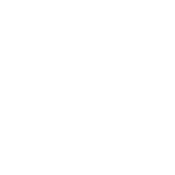 nrvchessnextjs.pages.dev favicon